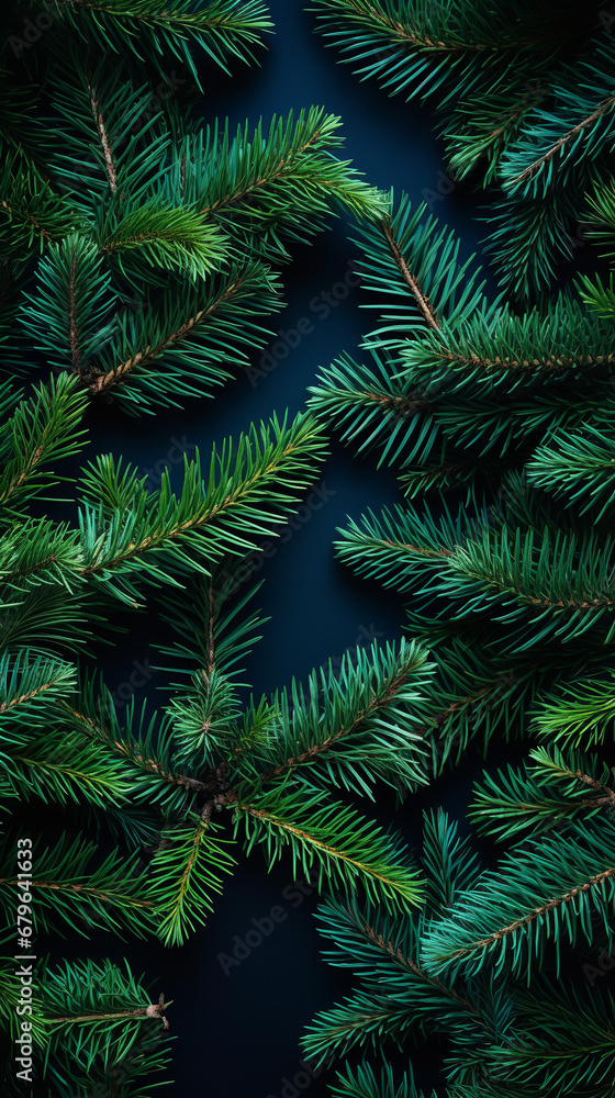 Flat lay, Christmas tree branch background