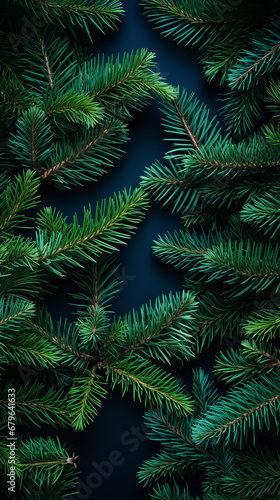 Flat lay  Christmas tree branch background