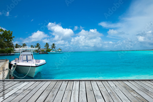 tropical Maldives island with white sandy beach and sea photo