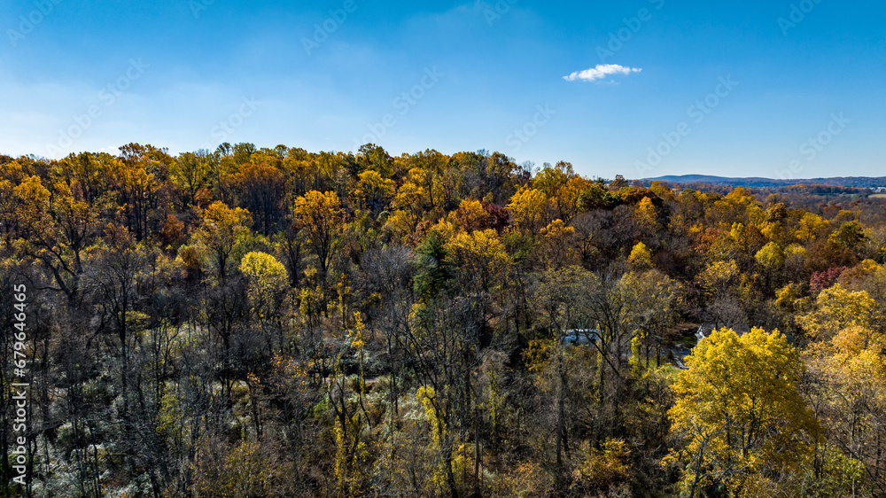 An Area View of a Autumn Hillside of Orange and Yellow Trees, on a Sunny Fall Day