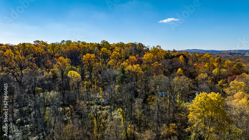 Fototapeta Naklejka Na Ścianę i Meble -  An Area View of a Autumn Hillside of Orange and Yellow Trees, on a Sunny Fall Day
