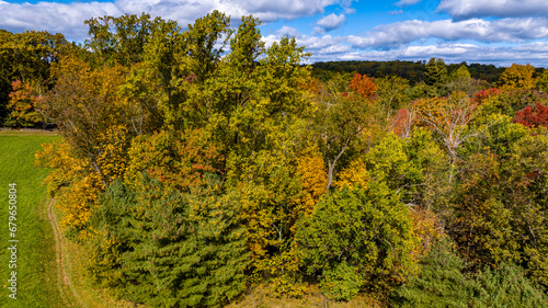 An Aerial View of a Colorful Autumn Forest on a Sunny Fall Day