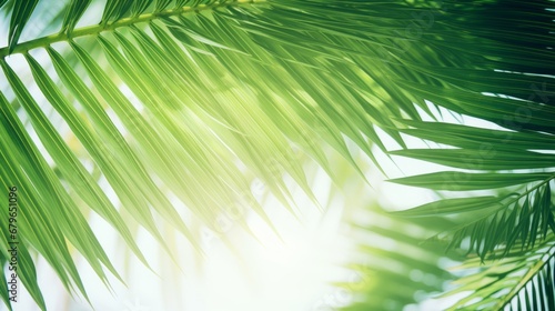 Lush palm leaves create a bright and relaxing backdrop