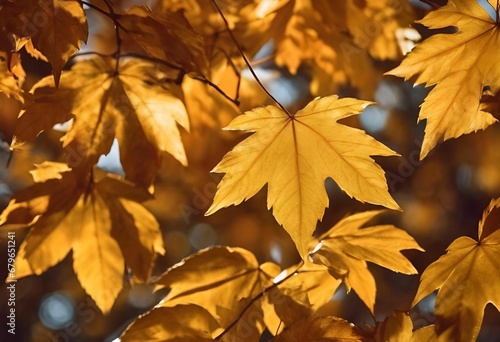 AI illustration of yellow leaves on the branches of a tree illuminated by warm  golden sunlight.