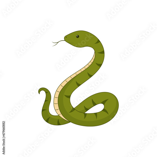 Green snake isolated on a white background. Symbol of the New Year 2025. Vector illustration