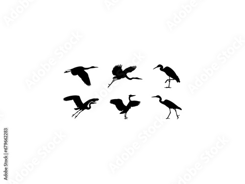Set of Heron Silhouette in various poses isolated on white background