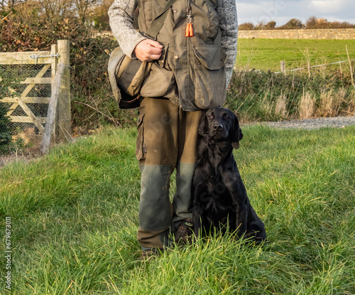 Working dogs at a gun dog kennels