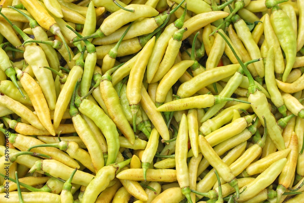 yellow chili peppers. yellow hot chili peppers background. Colorful chili peppers. Spicy yellow chili peppers. Top view pile of fresh chilli.