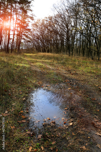 puddle on a dirt road in the autumn forest