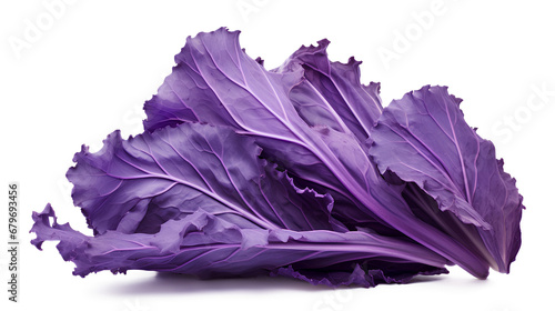 purple cabbage isolated on a white background, purple cabbage leaf isolated on a transparent background, Generative AI