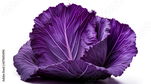purple cabbage isolated on a white background, purple cabbage leaf isolated on a transparent background, Generative AI photo