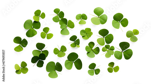 Realistic set of clover leaves isolated on a transparent background, Generative AI
