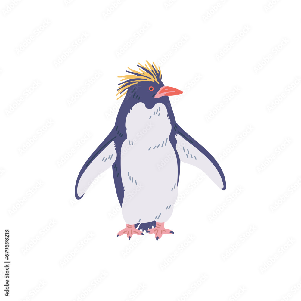 Obraz premium Crested penguin, vector flat cartoon illustration isolated on white.