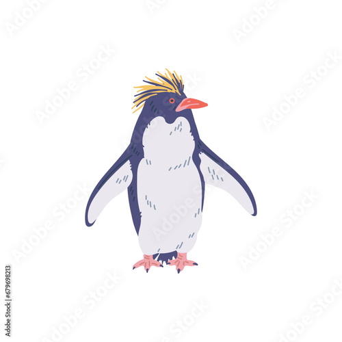 Crested penguin, vector flat cartoon illustration isolated on white. © sabelskaya