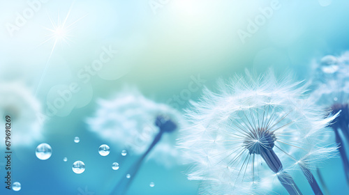 dandelion on blue sky Dandelion Seeds Glistening in Water Droplets on Blue AI Generative 