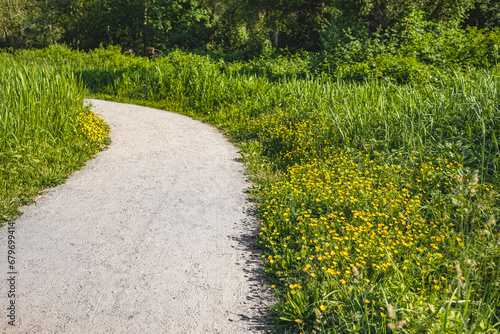 Pathway in a Lush Green Park. Public park background on a summer day