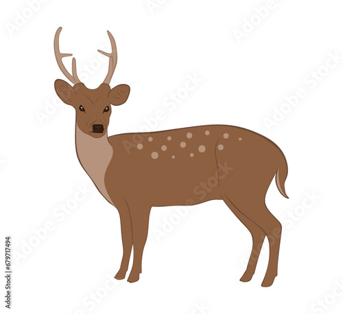 Fototapeta Naklejka Na Ścianę i Meble -  Vector Deer in flat style illustration. Cute and cartoon deer isolated on white background. Christmas reindeer, side view. Forest horny animal. Vector illustration