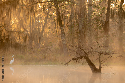 Louisiana, Usa,  Atchafalaya Basin 