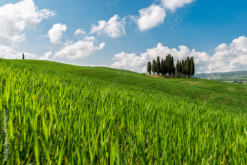 panorama Toscana photo