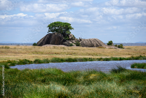 landscape with trees on kopje and lake in the serengeti park photo