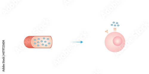 Type 1 Diabetes Scientific Design. Vector Illustration.