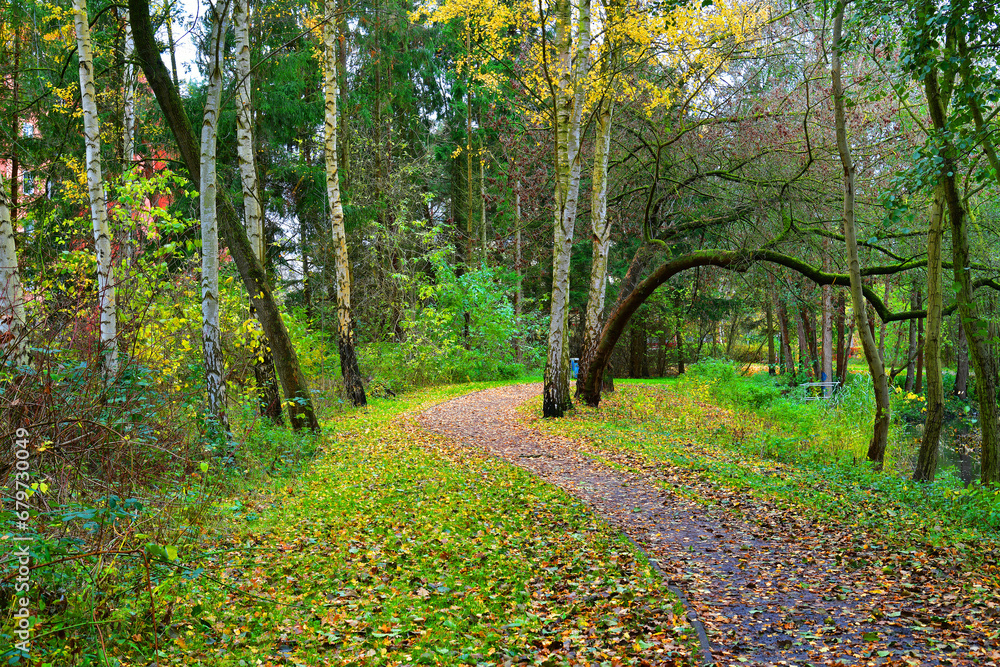 Autumn landscape. Pathway through the autumn park. Autumn landscape. Pathway through the autumn park.