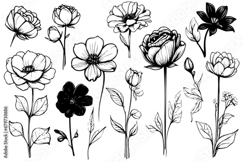 Collection hand drawn plants. Botanical set of sketch flowers and branches Vector