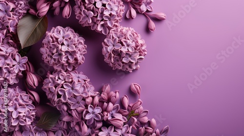 Fresh Lilac Blossom Beautiful Purple Flowers, HD, Background Wallpaper, Desktop Wallpaper
