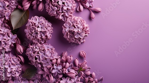 Wallpaper Mural Fresh Lilac Blossom Beautiful Purple Flowers, HD, Background Wallpaper, Desktop Wallpaper Torontodigital.ca