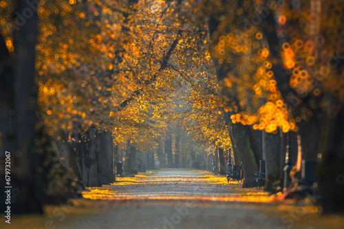 Fototapeta Naklejka Na Ścianę i Meble -  Krajobraz jesienny w parku