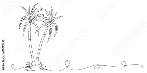 sugarcane