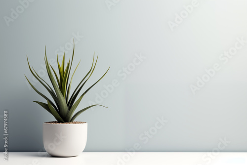 Empty modern apartment in minimalistic style with white wall, potted plant and free space for product or text. Generative AI. photo