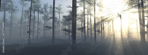 Forest in the morning in a fog in the sun, trees in a haze of light, glowing fog among the trees, 3D rendering