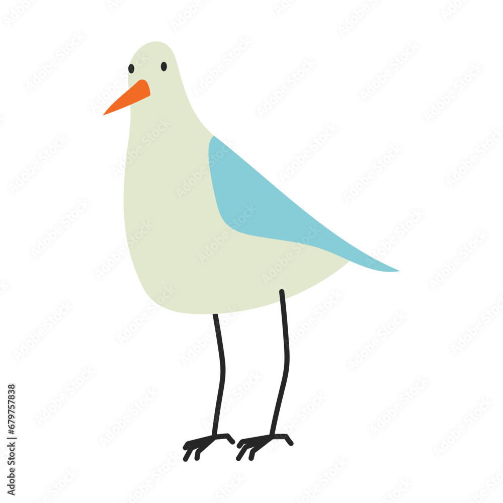Seagull Bird Seagull Bird