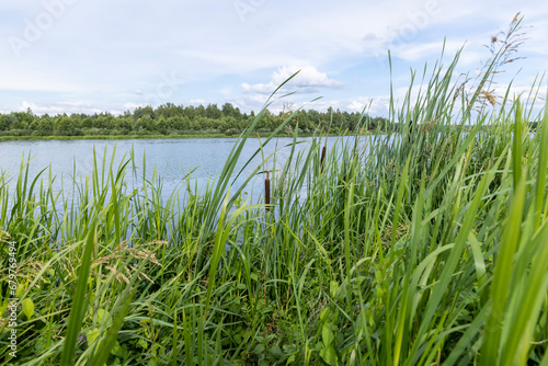 water with waves in the river in summer with green grass