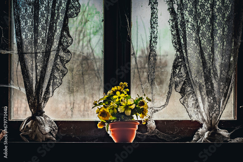 Abandoned house with Garfields photo