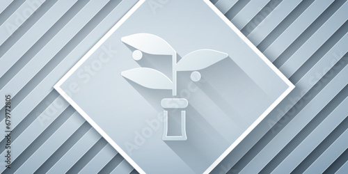 Paper cut Plant breeding icon isolated on grey background. Plants growing in the test tubes. Organic food ,agriculture and hydroponic. Paper art style. Vector