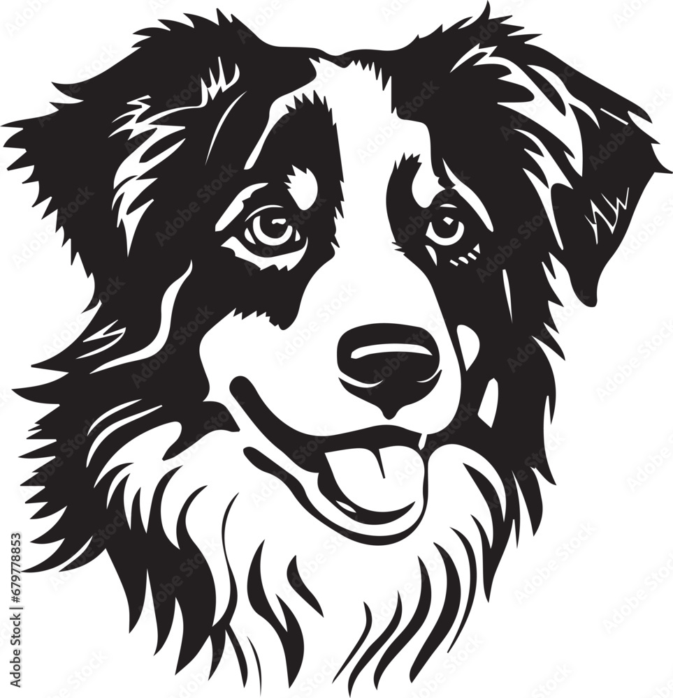 Fototapeta premium black and white Australian Shepherd dog illustration