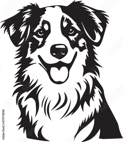 black and white illustration of a Australian Shepherd dog