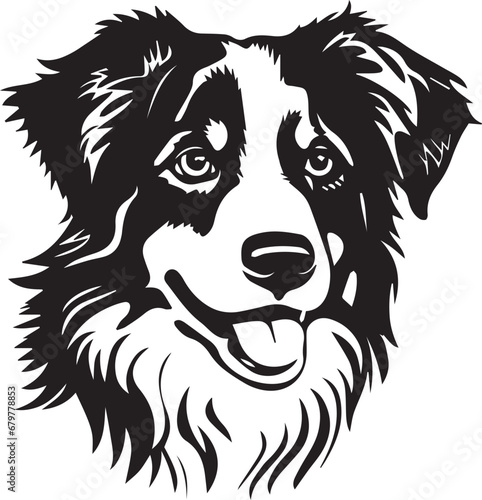 black and white Australian Shepherd dog illustration