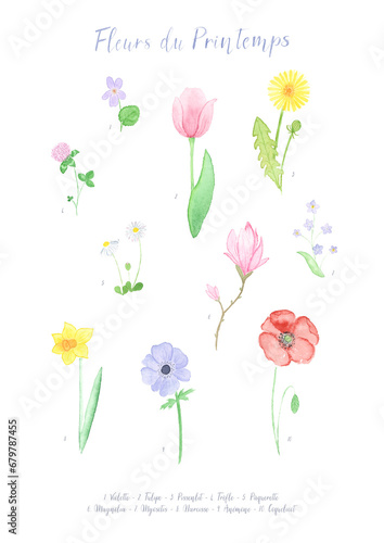 Planche d'illustrations à l'aquarelle de fleurs de Printemps
