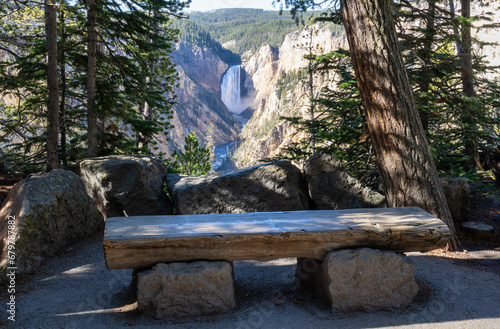 Empty wooden park bench with lower Yellowstone Falls in the distance