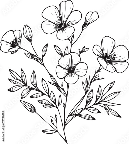 Fotografia Unique flower coloring pages, Hand-drawn vector illustration of a garden variety