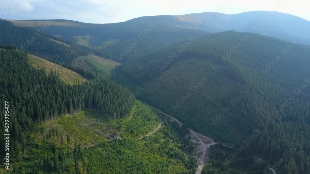 Drone view above a forest exploitation. Part of the coniferous forests growing in the mountain sides have been cut, and small seeds have been planted in the empty meadows. Carpathia, Romania. Drone view above a forest exploitation. Part of the coniferous forests growing in the mountain sides have been cut, and small seeds have been planted in the empty meadows. Carpathia, Romania.