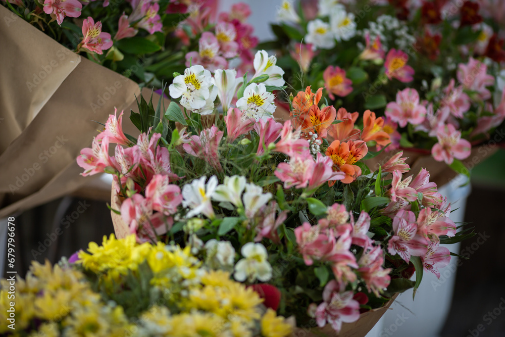 Colorful alstroemerias on the stand in the flower shop. Showcase. Floral shop and delivery concept. Flowers market on the street. Many alstroemeria flowers growing in pots for sale in florist's shop.