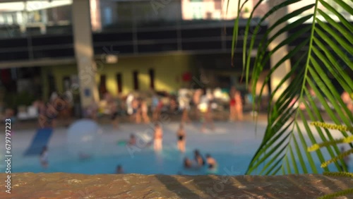 leaves of palm tree near blurred swimming pool in background in indoor beach water park photo