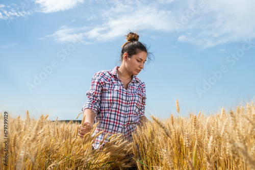 Farmer or agronomist inspect  wheat field © Dusan Kostic