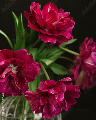 bouquet of dark red lilac tulips in glass vase on dark background. flower bouquet in vase on table. Gift interior decoration. florist, decorator. Flower shop. © MyJuly