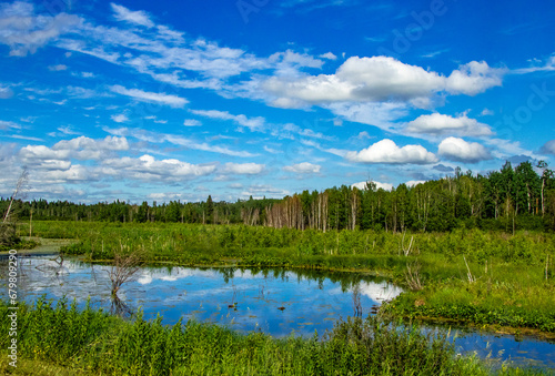 Road side Elk Island National Park Alberta Canada