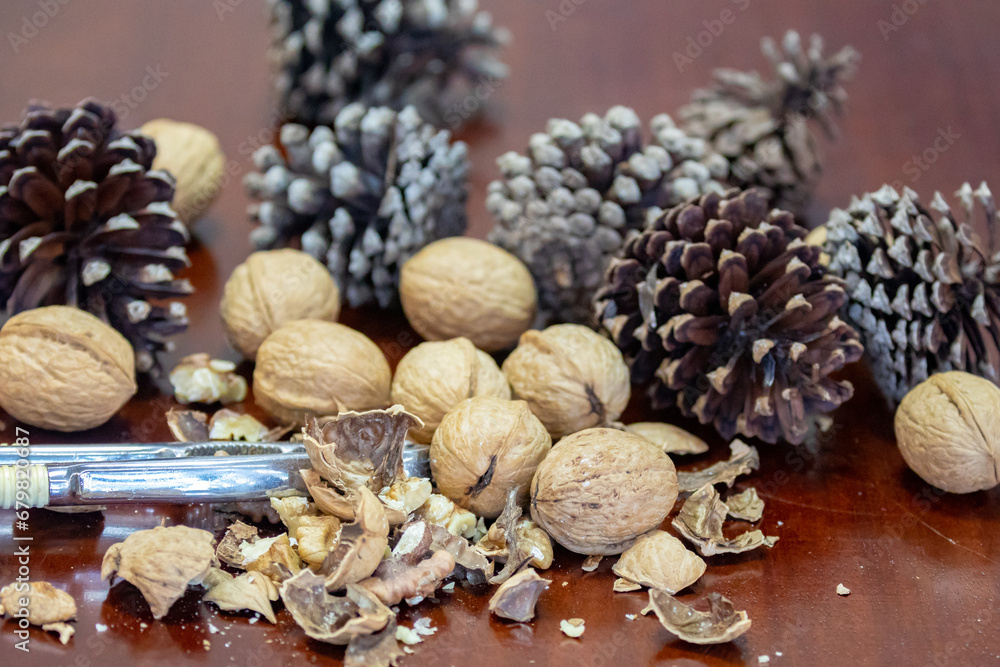 Fototapeta premium Cracking Christmas nuts using a traditional metal nutcracker. Traditional Christmas background